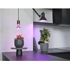 Osram Lemp LED augalams 1300K E27 7.5W 140lm