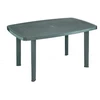 Lauko stalas PROGARDEN FARO OVAL, žalias, 126×85×72 cm
