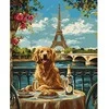 Art Active Ideyka tapybos pagal skaičius rinkinys Retriever in Paris KHO6627 40x50 AP0060