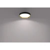 Lubinis šviestuvas Šviestuvas lubų Philips 929004115901, 24 W, LED, 4000 °K