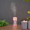 Oem Aromaterapinis aparatas / drėkintuvas / difuzorius H10 rožinė