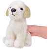 Beppe Pliušinis žaislas talismanas mielas žaislas Labradoro šuns sėdėjimas 20cm 13475