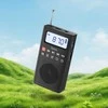 Portable radio Hoco HI51 juodas