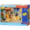 Castorland Dėlionė 120 vnt. - Draugų susibūrimas