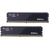 RAM G.Skill Flare X5 F5-6000J3444F64GX4-FX5 atminties modulis 256 GB 4 x 64 GB DDR5 6000 MT/s