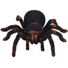 Jokomisiada Nuotoliniu būdu valdomas Juodoji našlė SPIDER RC0251