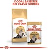 Royal Canin Persian Adult 10kg