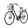 Scrapper City Bicycle Bottari Railway Lady 18-speed. 28 inches