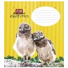 Shkolyaryk Sąsiuvinis linijomis72054/2721K, A5, 12 lapų