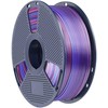 Sunlu PLA+ Silk Filament (Rainbow 02)