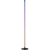 SWITCHBOT Floor Lamp RGBICWW