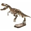 Jokomisiada 3D dinozauro skeleto rinkinys
