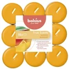 Žvakė, aromatinė Bolsius Mango, 4 h, 18 vnt., Oranžinė