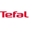 Tefal GV9920 lygintuvas