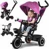 Triratis dviratukas Tiny Bike 3W1 Z Daszkiem
