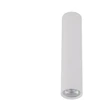 Lubinis šviestuvas Tk_Lighting Šviestuvas lubų TK Lighting Tune 10027, GU10, baltas