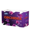 POPIERIUS TUALE GRITE ORCHIDEA 24RIT 3SL