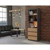 „Top E Shop“ „Topeshop RS-60 ANT/ART KPL“ biuro knygų lentyna