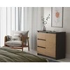 „Top E Shop“ komoda „Topeshop 1D3S ANT/ART KPL“