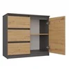 „Top E Shop“ komoda „Topeshop 1D3S ANT/ART KPL“