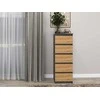 Top E Shop Topeshop W5 ANT/ART KPL chest of drawers