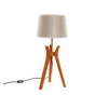 Toršeras DKD Home Decor, 50W