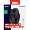 Trust Fyda pelė Office dešinei rankai RF belaidė + Bluetooth Optinė 2400 DPI