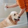 VIRBAC Allerderm normal skin - Šampūnas for dogs and cats - 250 ml