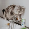 VIRBAC Sebolytic - Šampūnas šunims ir katėms - 250 ml