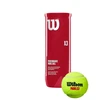 WILSON WILSON PADEL X3 padelio kamuoliukai