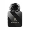 Belaidis Lavalier mikrofonas PULUZ PU648B (USB-C)