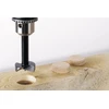 Wolfcraft Medžio freza WS 53 mm, 3303000