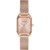 Laikrodis WOMEN'S WATCH EMPORIO ARMANI GIOIA AR11347 + BOX