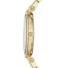 Laikrodis WOMEN'S WATCH Michael Kors Darci MK3219 + BOX