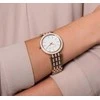 Laikrodis WOMEN'S WATCH Michael Kors Darci MK3220 + BOX