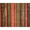 Wrapping paper Decoris Books. 70 cm x 200 cm