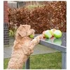 Dog Comets tamsoje šviečiantis kamuoliukas šunims, 7.5 cm