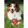  KONG Classic L guminis žaislas šunims 10cm
