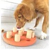 Outward Hound Nina Ottosson Dog Smart interaktyvus žaislas šunims