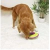 Nina Ottosen Nina Ottosson Dog Treat Maze interaktyvus žaislas šunims