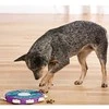 Nina Ottosen NINA OTTOSSON – „Dog Twister Plastic“ – (635.1328)