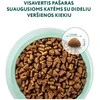 Optimeal Adult sausas maistas katėms su veršiena, 1.5kg