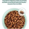 Optimeal Adult Sterilised sausas maistas katėms su kalakutiena, 1.5kg