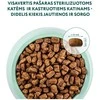 Optimeal Adult Sterilised sausas maistas katėms su jautiena, 700 g