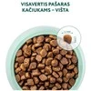 Optimeal Kitten sausas maistas kačiukams su vištiena, 1.5kg