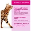 Optimeal konservai katėms su ėriena ir daržovėmis drebučiuose,85 g