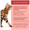 Optimeal konservai katėms su kalakutiena moliūgų padaže, 85 g