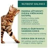 Optimeal konservai katėms su triušiena morkų drebučiuose, 85 g
