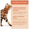 Optimeal konservai katėms su triušiena padaže, 85 g
