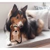 Outward Hound Invincibles Puppy žaislas šunims, 16 cm